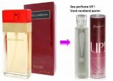 Dolce & Gabbana Feminino